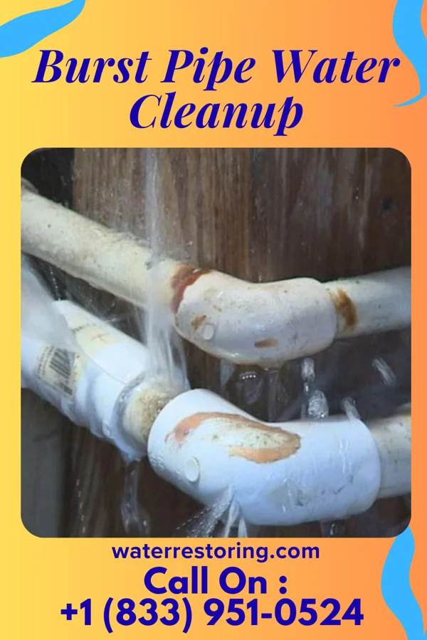 Burst Pipe Water Cleanup in Macopin, NJ