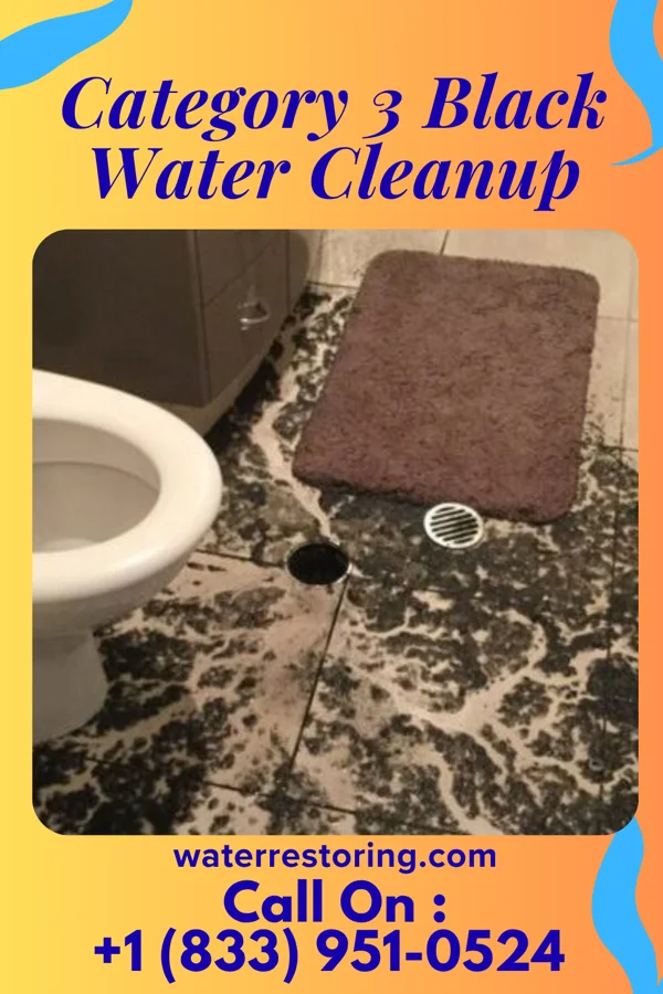 Category 3 Black Water Cleanup in Macopin, NJ