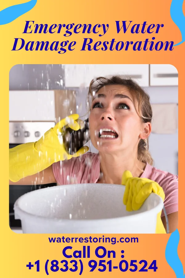 Emergency Water Damage Restoration in Macopin, NJ