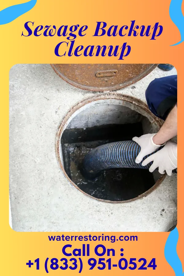 Sewage Backup Cleanup in Macopin, NJ