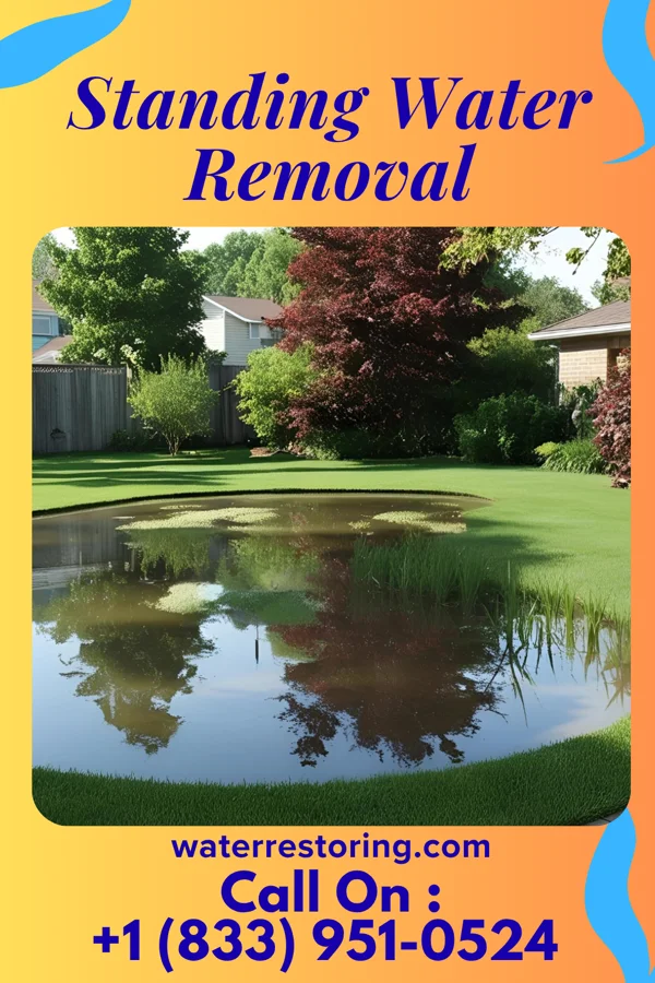 Standing Water Removal in Macopin, NJ
